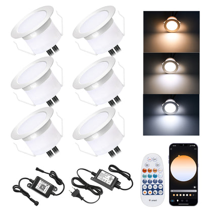 FVTLED LED Deck Lights Kit D45 Φ1.77" Low Voltage WiFi Smart Recessed RGB RGBW Warm White Deck Lighting with App/Voice Control, Waterproof IP67 Landscape In Ground Lighting for Outdoor Stairs Steps Floor Decor, Black / Silver