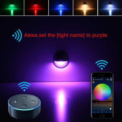 FVTLED WIFI Control Warm White / RGB Low Voltage LED Deck Lights kit D50 Φ1.38 Outdoor Garden Yard Decoration Lamp Recessed Landscape Pathway Step Stair Deck LED Lighting, Black/Bronze