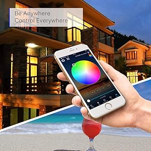 FVTLED WIFI Control Warm White / RGB Low Voltage LED Deck Lights kit D50 Φ1.38 Outdoor Garden Yard Decoration Lamp Recessed Landscape Pathway Step Stair Deck LED Lighting, Black/Bronze